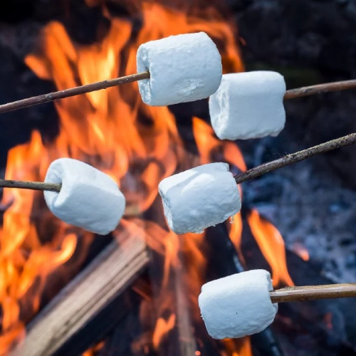 Campfire S'mores