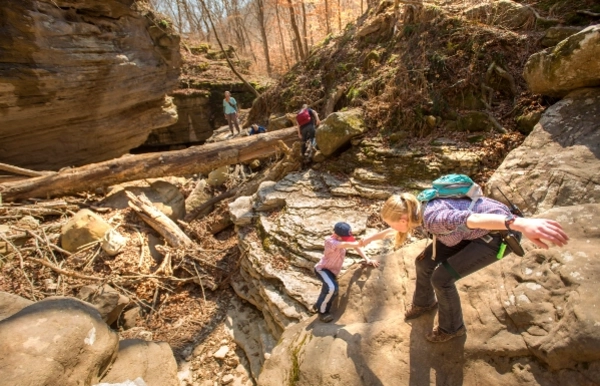 stary night sky with purple