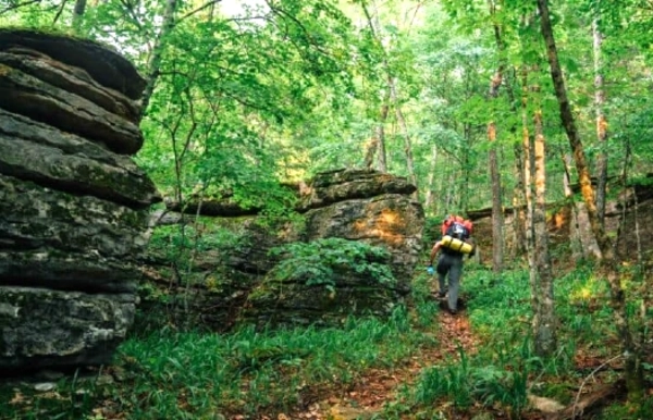 smiling young guy with his dog in the park