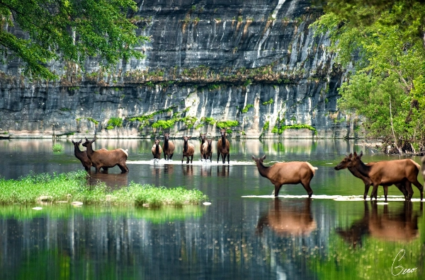 stary night sky with purple